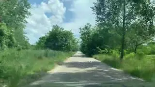Dan Posle +31, Srbija, Branicevski okrug, Peskovi, Branicevo, Pozezeno