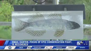Snail Darter, focus of epic conservation fight, is recovered