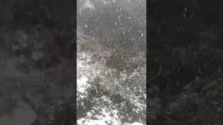#Queen_of_hills #paradise #snowfall #dehradun_vibes #winters