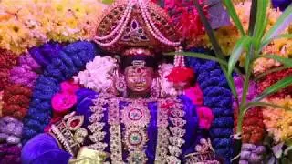 Navaratri 2017 / Bhajans