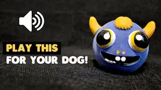 Play This for Your Dog: High-Quality Squeaky Toy Sounds They&rsquo;ll Love!