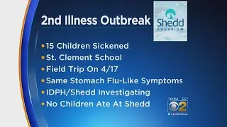 About 15 Kindergarteners Sick After Trip To Shedd Aquarium