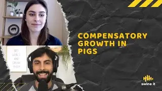 Dr. Mariana Menegat: Compensatory Growth in Pigs | Ep. 84
