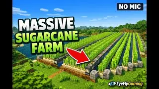 Relaxing Minecraft Gameplay | Massive Sugarcane Farm | No Commentary