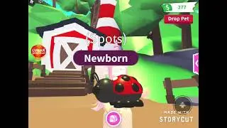 New Ladybug/Farm Update in Adopt Me!