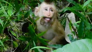 TIM hits Angela because she eats fruits with him baby is sad & crying to stone