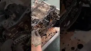 LC Prado Engine Overhaul 1!