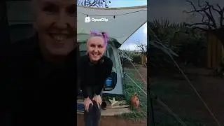 Приключение на Тенерифе в пустыне начинается! Полное видео по ссылке ниже.