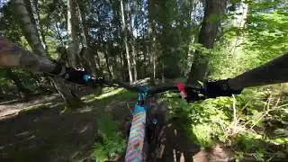 MTB - Alebacken - A run down the red trails