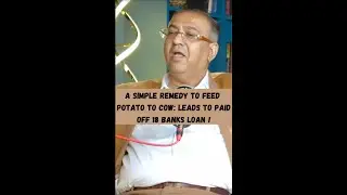 A simple remedy of fed potato to cow: leads to paid off 18 banks loan !