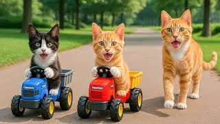 TiTi Cat Surprises Kitten with Dream Toy Motorcycle 🐾🐱🏍️ After He Achieves Excellent School Results
