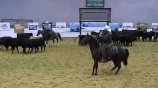 2015 The Southern Cutting Futurity - Nitros Real Deal -  Ben Roberson