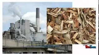 Where does paper come from? A Design and Technology Teaching Resource