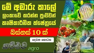 මේ අමාරු කාලේ ලංකාවේ කරන්න පුළුවන්  කෘෂිකාර්මික ක්ෂේත්&zwj;රෙය් බිස්නස් 10 මෙන්න - දෙවන කොටස