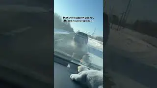 #рекомендации #топ #рек #мемас #юмор #мем #прикол #смешнойшортс #youtubeshorts #shorts #shortvideo
