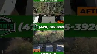 Tree Removal  #us #hurricane #storm #usa🇺🇸 #viralvideo #trendy #foryoupageofficiall #love #tree