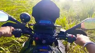 Whatsapp status  #palkulamedu #idukki