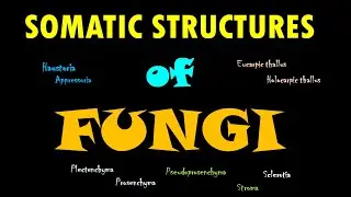 Somatic Structures of Fungi