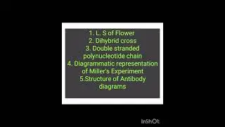 Important Diagrams Class 12 biology