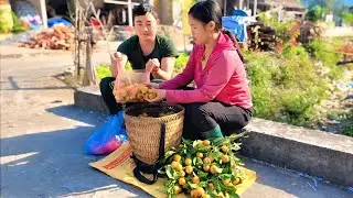 Soldier and single mother pick wild tangerine tree with lots of fruit to sell market