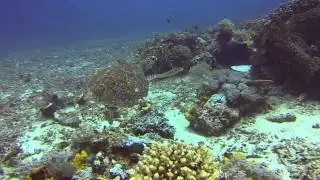 BIRA Dive Camp