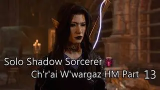 Solo Shadow Sorcerer Cr&egrave;che Y'llek HM Part 13