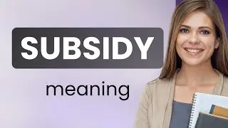 Subsidy | meaning of SUBSIDY