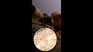 See see Partridge hunting, hunting of Partridge by PCP, hunting of Partridge with an air gun,