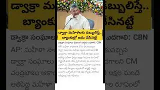 CM Chandrababu about dwakra loans