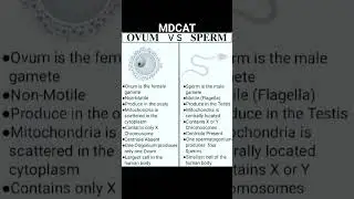 ovum vs sperm#mdcat #mbbs#education #mbbsguide#mdcat2023  #mdcatdelay#mdcatonlineprep#mdcatlectures