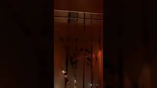 The Imperial, New Delhi || Hybon Elevators #luxuryelevators #homeelevator #lift #elevatorsolutions