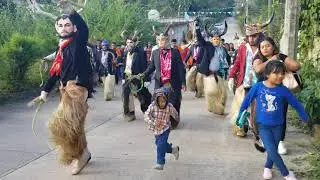 Banda San Francisco de Santa Rosa Caxtlahuaca Oax. Bonito paseo con Los diablos en Santa Maria. A.