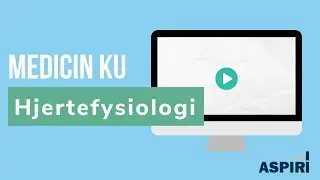 Medicin KU - Hjertefysiologi - Opgave 3 - Del 1