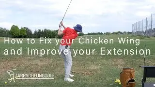 How to Fix your Chicken Wing and Improve your Extension