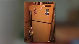 Man finds frozen baby in freezer after his mother's death