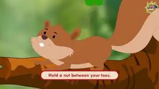 10. Squirrel, Squirrel | Berry Garden | Nursery Rhymes | Sweet Berry