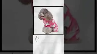 Pet Clothes Jumpsuits Winter Warm