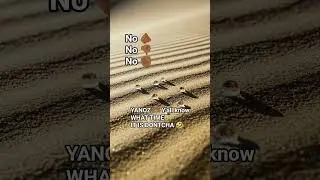 DRY EM OUT SEASON #thenyouknow #desertlife #mindset #shorts #fyp #mzyano  #DreamScreenAI