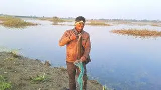 Only 3 snakehead fishes catching Amjad Khan Fishing