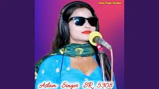 Aslam Singer SR 5308