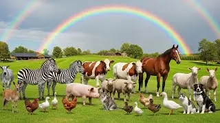 Cute Animal Sounds Elephant, Kitten, Rabbit, Monkey, Goat, Horse, Duckling, Dog  Animal Video