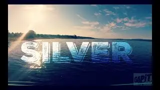 S I L V E R