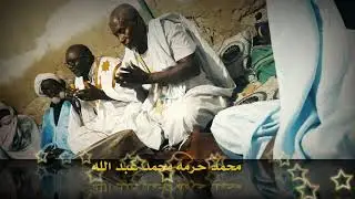 من أجمل لمدح الموريتاني محمد ول صنب