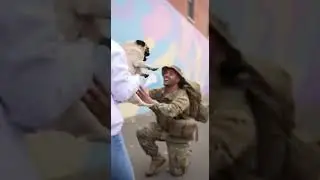 🥰 Pug Screams Bloody Murder Seeing Soldier Reacts to Unexpected Visitor #puglife #soldier #cute