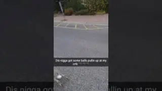 THE FEARLESS RABBIT!!! BE AWARE THESE RABBITS ARE KNOWN TO ATTACK HUMANS!!!!!