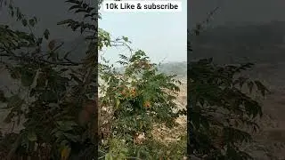 #shorts #dance #trending #youtubeshorts #song #ytshorts #love #music #hindisong #shortsyoutube#songs