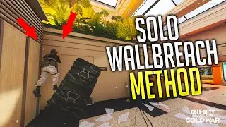 Cold War Glitches | New Solo WALLBREACH Method Working On ALL MAPS (Multiplayer Glitches)