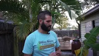 Winter Gardens in Florida - Underutilized Spaces To Getting Good Organic Produce