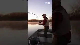 Ep. 307: Rainy Season Fishing - Catching Fish After Heavy | #WildRiverPOV #NatureShorts #AnimalWorld