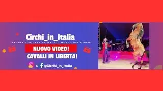 CAVALLI IN LIBERTA! Circo Sandra Orfei - Equeste Vassallo; (Palermo 2025) Circhi_in_Italia